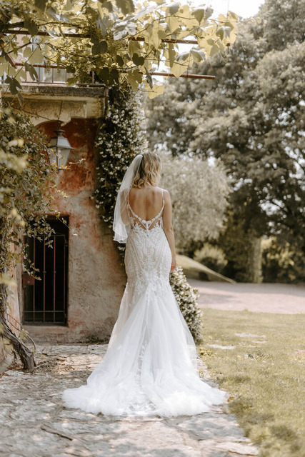 G_P23-360 | monikazell