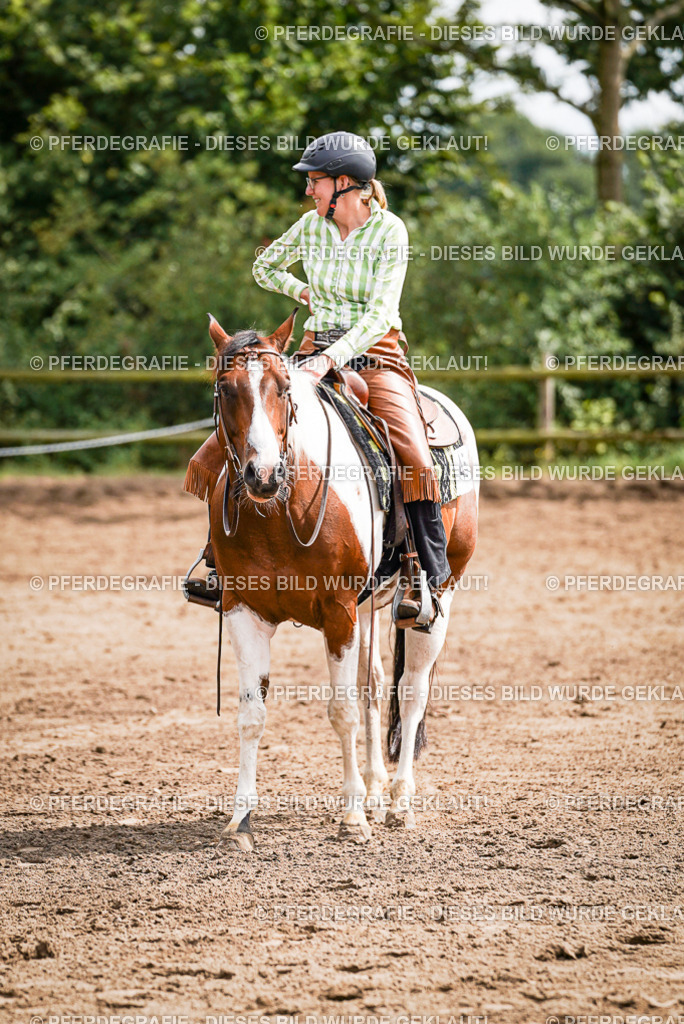 DSC07469 | Pferdegrafie