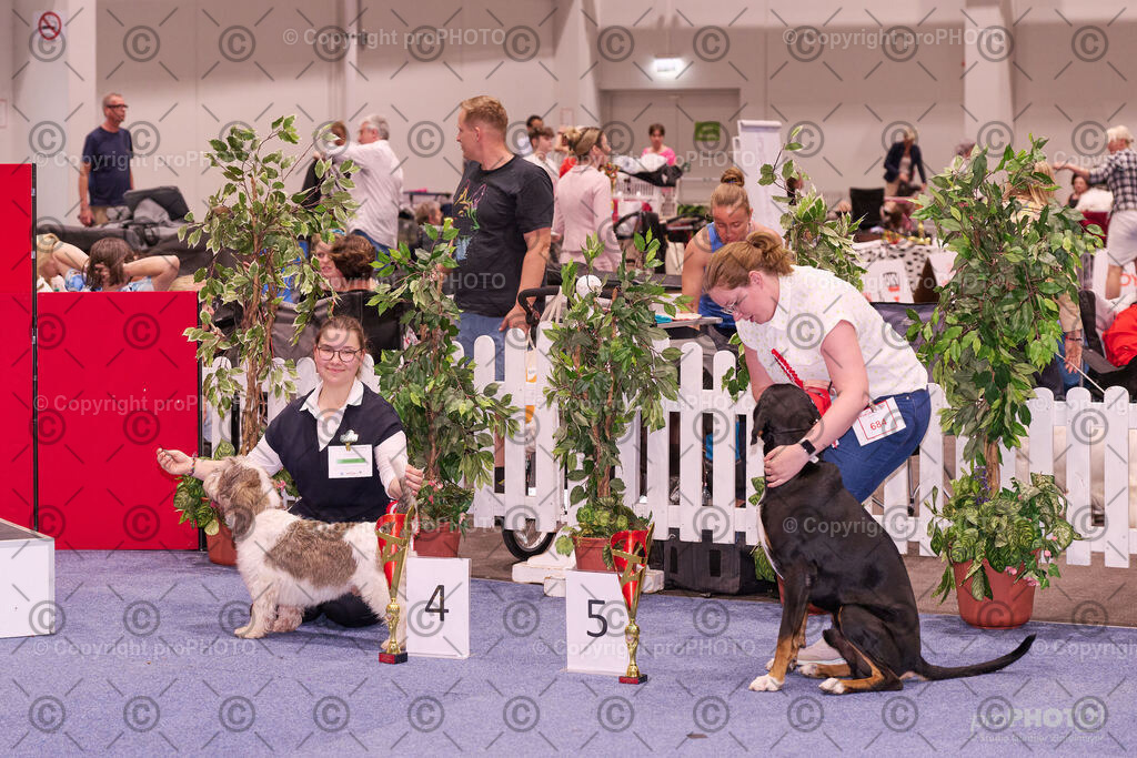 202406_ÖKV-IHA-Tulln24_NZ9_9535 | proPHOTO - Realisiert mit Pictrs.com