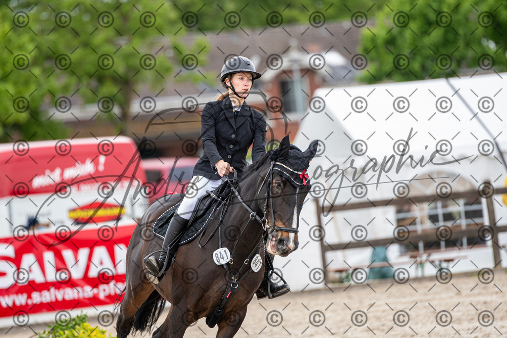 KPT_8713 | andre_photographic