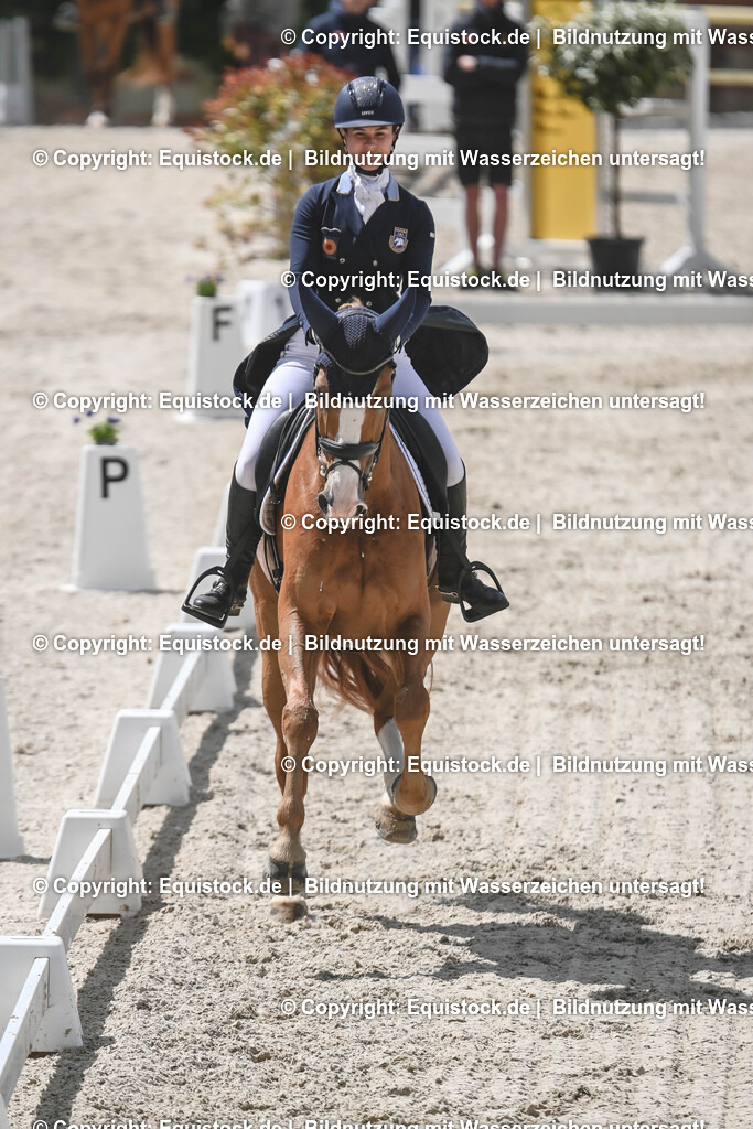 20250516_CCI2_Dressur_0264 | Foto: Thomas Hartig