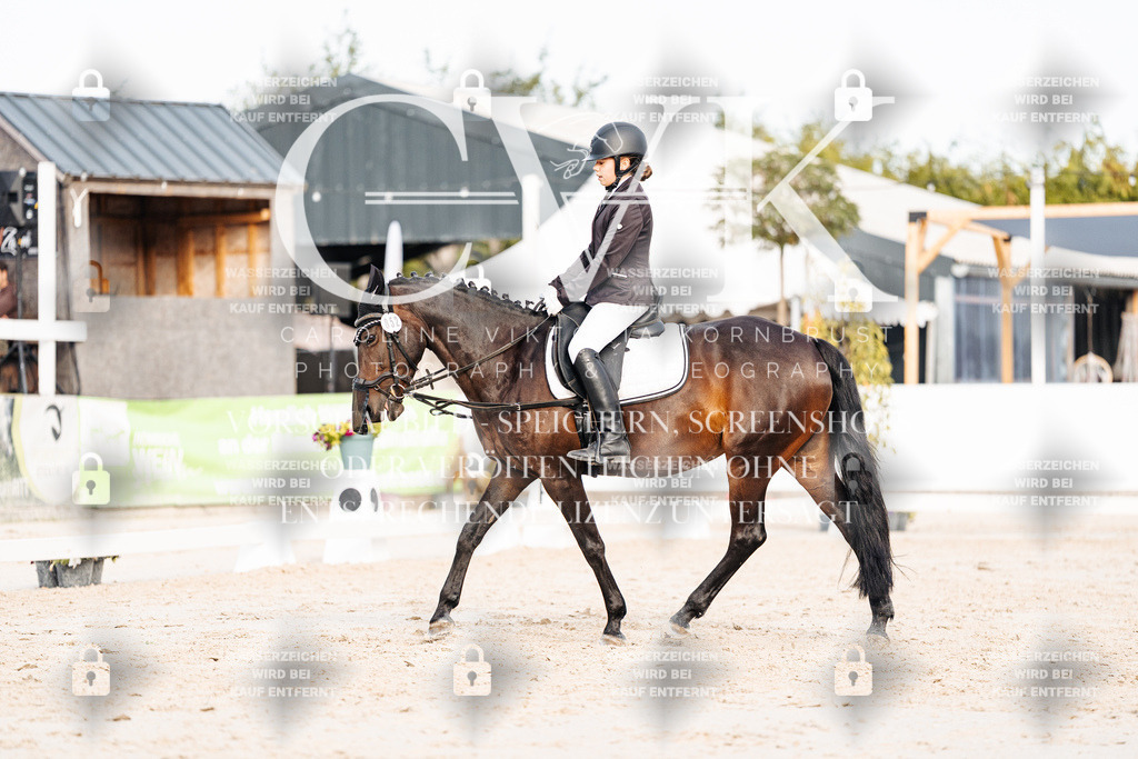 CK904603 | Turnierfotografie Pferdefotografie Trier Rheinland-Pfalz Pferdesport Reitsport Tierfotografie Sportfotografie Pferdevideo Pferdevideografie Equestrianvideography equestrianphotography  - Realisiert mit Pictrs.com