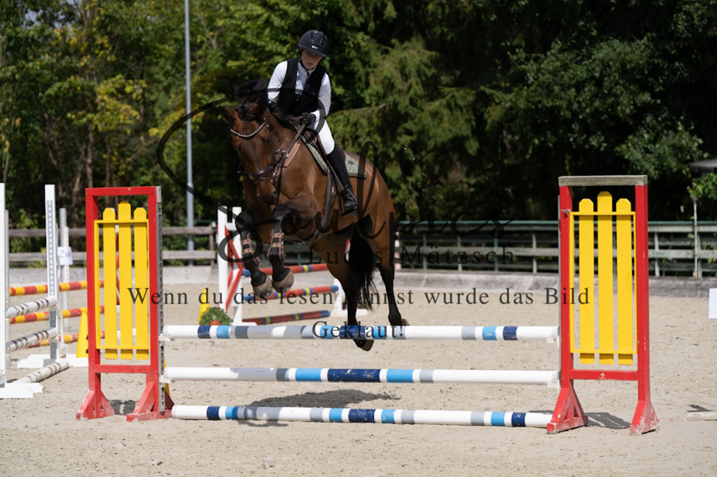 A7V07404 | Turnier/Reitfotograf