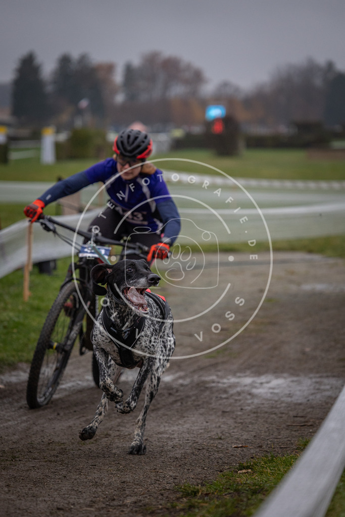 CaniXpix_0L8A1431 | Hundefotografie, Tierfotograf, Pfotenfotografie, Fotoshooting Hund, Hunde Portrait, Hundesport, Hundeportraits, Heideshooting, Hunde, Sportfotograf, Hundefotograf, Turnierhundsport, THS,  - Realisiert mit Pictrs.com