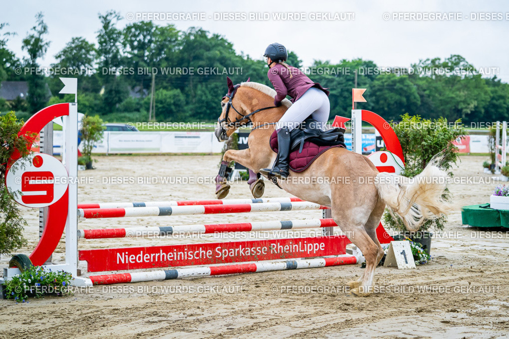 DSC01096 | Pferdegrafie