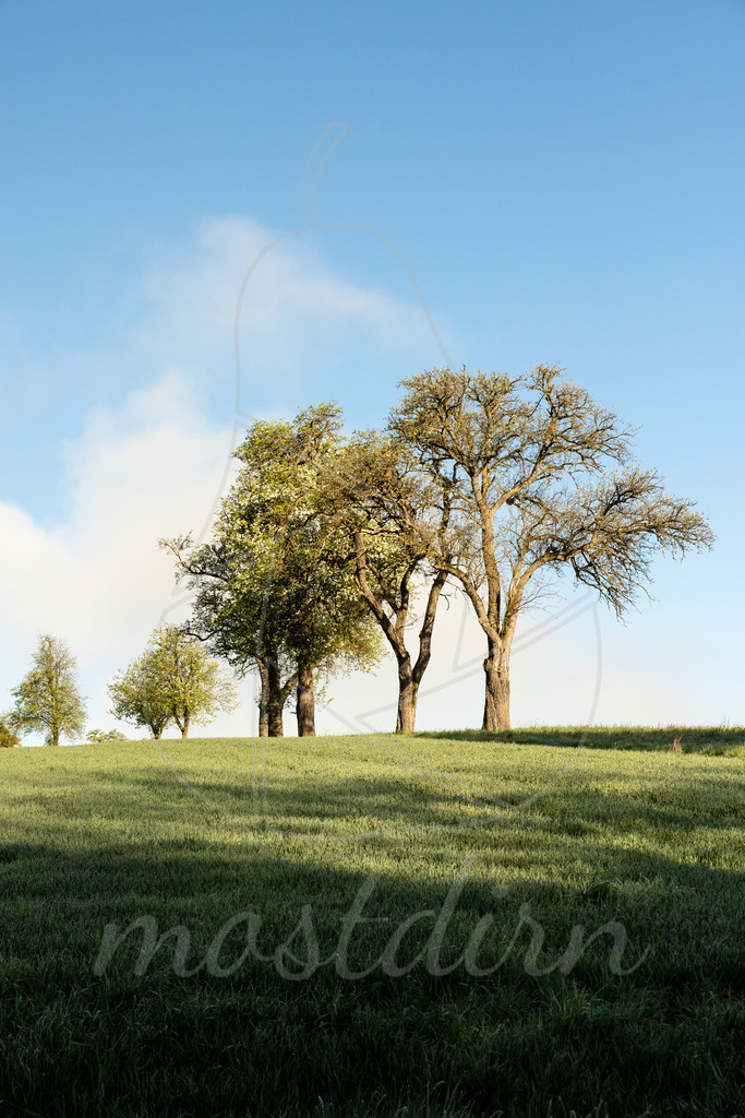 Der Nebel lichtet sich | Ihre Fotografin im Lungau, ihre Fotografin im Mostviertel, Wandbilder Onlineshop, Imagefotos für Ihr Unternehmen,  - Realisiert mit Pictrs.com