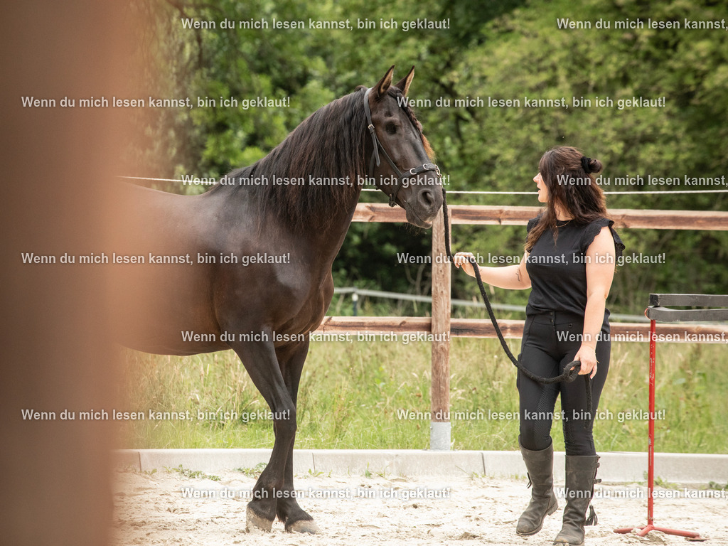 598A6218 | photographylinaismer - Realisiert mit Pictrs.com