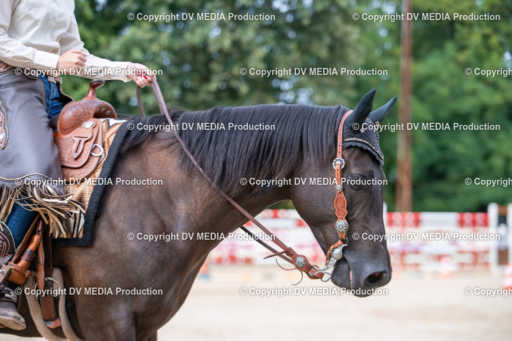 ZS3_5540 | dv-media-shop - Realisiert mit Pictrs.com