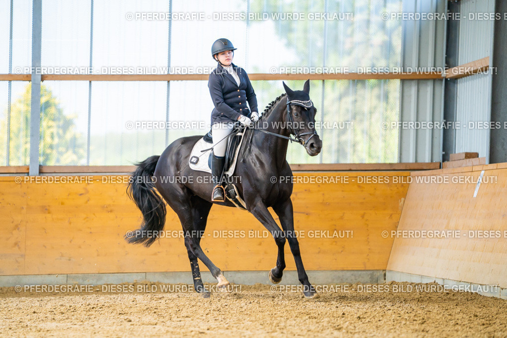 DSC08040 | Pferdegrafie