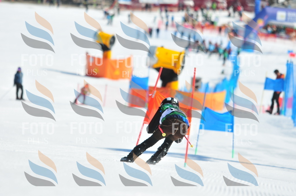 C3818 | holidayphoto