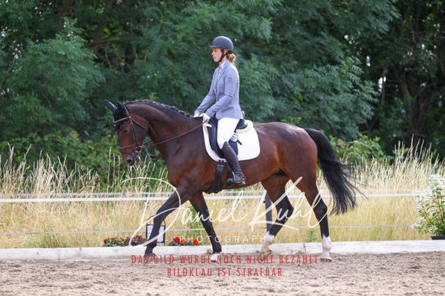 DKP45673 | Turniersportfotografie; Pferdefotografie; Dressurfotografie