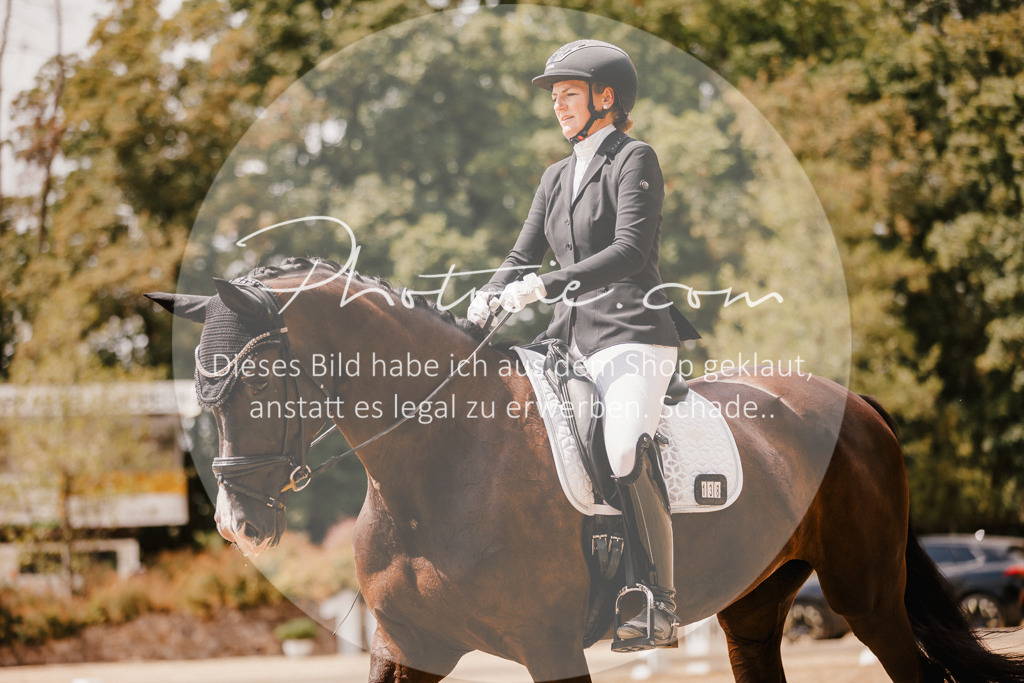 3I6A6292 | Stimmungsvolle Portraits und Reitsportfotografie im Ruhrgebiet und im Münsterland.

Pferdefotografie, Hundefotografie, Tierfotografie, Reportagen, Portraits von Tier und Mensch, Turnierfotografie in Bochum, Recklinghausen, Marl, Haltern am See, Dülmen.. - Realisiert mit Pictrs.com