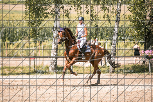 _W6A0768 | ronjaprokoschfotografie - Realisiert mit Pictrs.com