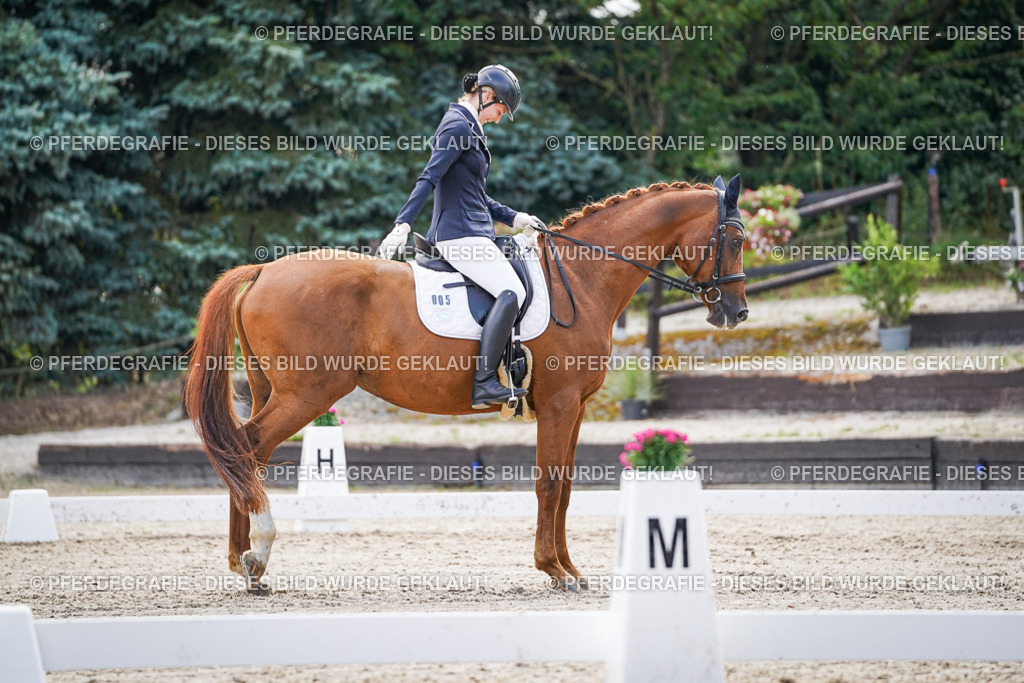 DSC00628 | Pferdegrafie