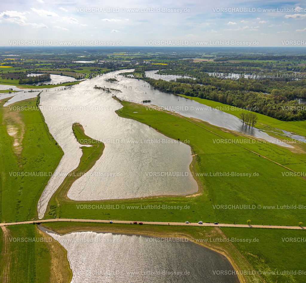 Wesel240402173BislicherInsel-Wesel | Luftbild, NSG Naturschutzgebiet Bislicher Insel Auenlandschaft, Fluss Alter Rhein, Bäume im Wasser und Waldgebiet, Fernsicht, Ginderich, Wesel, Niederrhein, Nordrhein-Westfalen, Deutschland