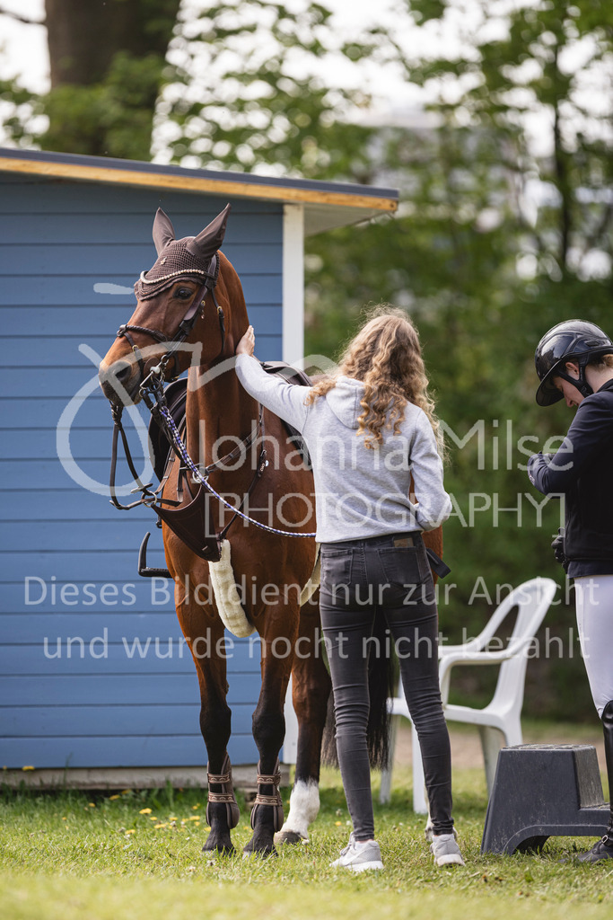 260503_Spenge_7_M2-Spr-m-steig-Anf-701 | Deine schönsten Turniermomente als professionelle Fotos! Entdecke hochwertige Pferdesport-Fotografie im Online-Shop. Jetzt Fotos finden & bestellen!