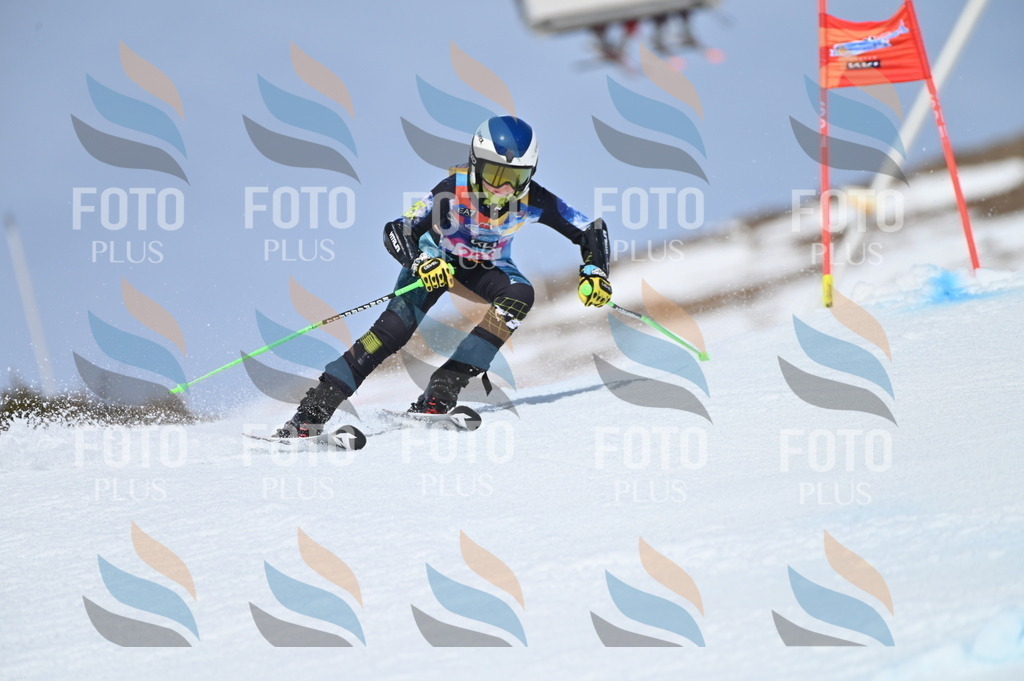 BGV_1514 | holidayphoto