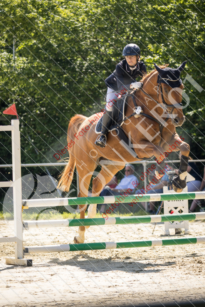 IMG_3378 | Sport-, Event- und Tierfotos in Profiqualität. Einfach auswählen, bestellen und herunterladen. Dein Moment – perfekt festgehalten.