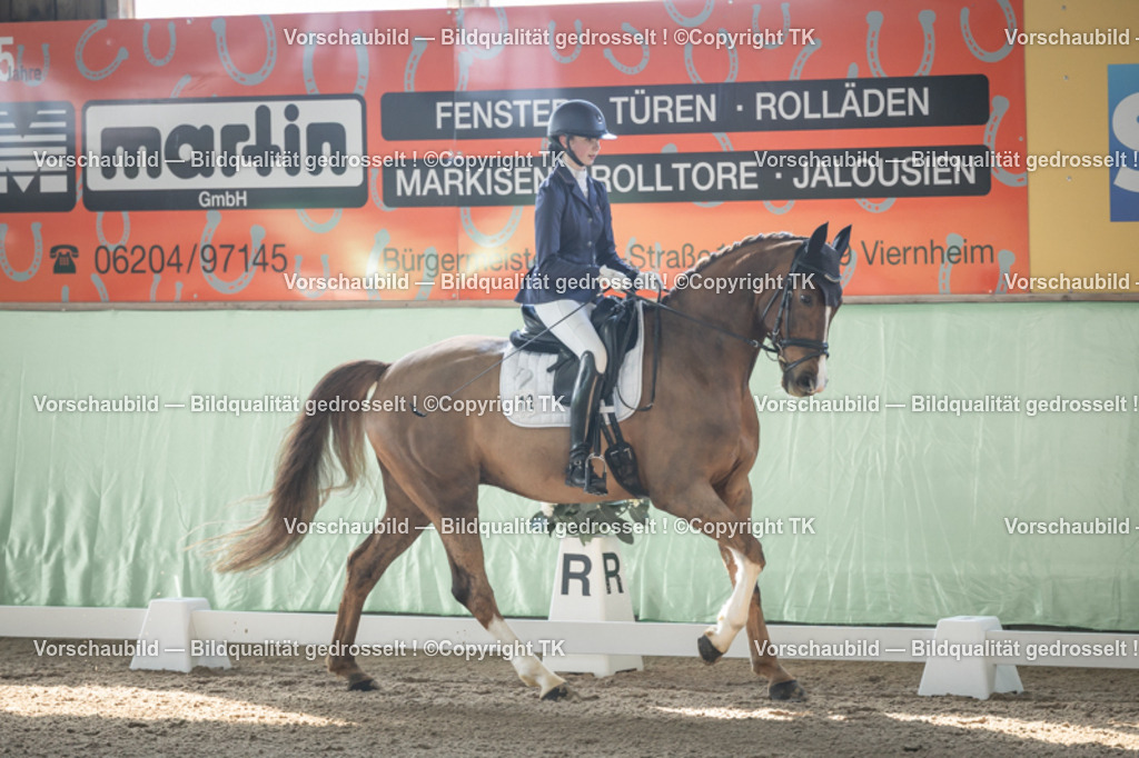 _D5A0569 | Emotionale Pferde- & People-Fotografie rund um Heidelberg, Leimen & Umgebung. Natürliche Fotos von Pferd, Mensch & Familie. Jetzt Termin sichern!