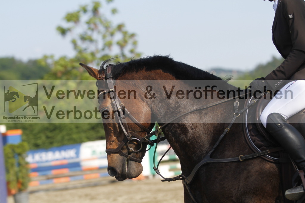 _MG_8053 | equestrian-live-com