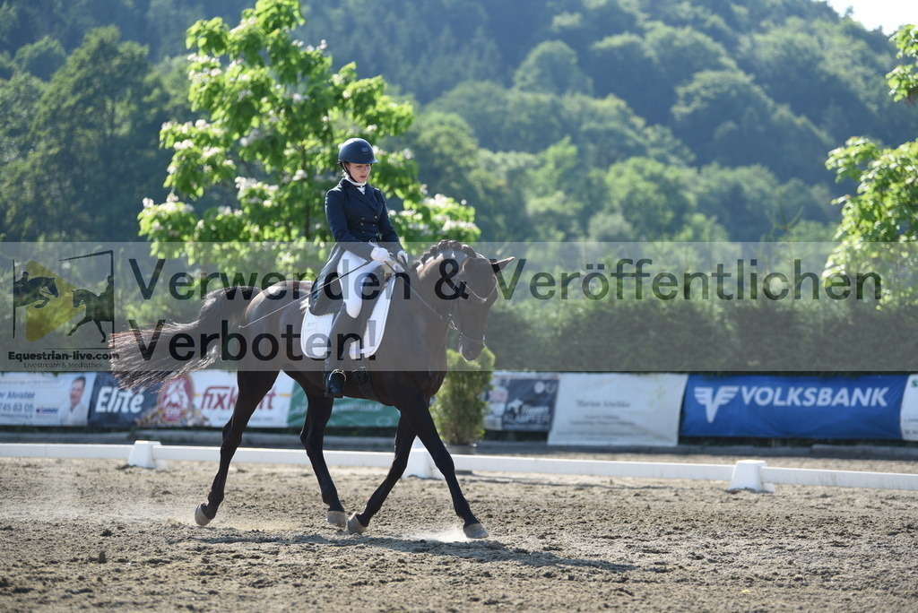 DSC_2560 | equestrian-live-com