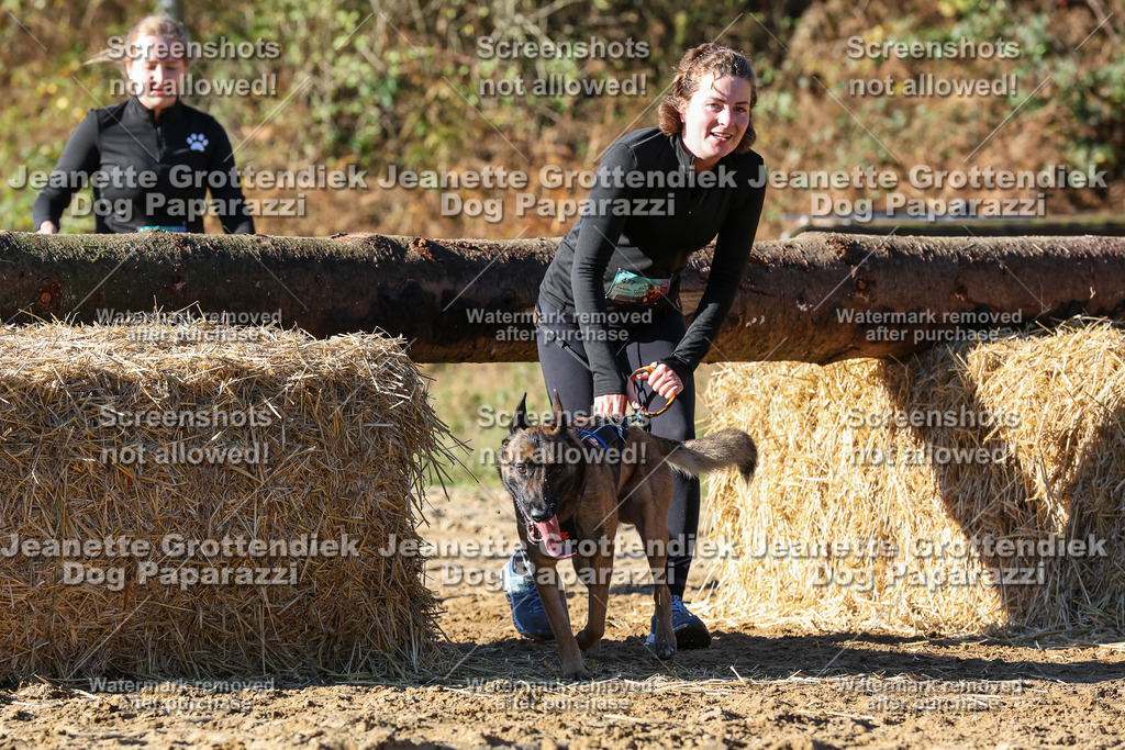 Dog Paparazzi - Strongdog 10-25-2164 | Dog Paparazzi Jeanette Grottendiek Fotografie & Videografie - Realisiert mit Pictrs.com