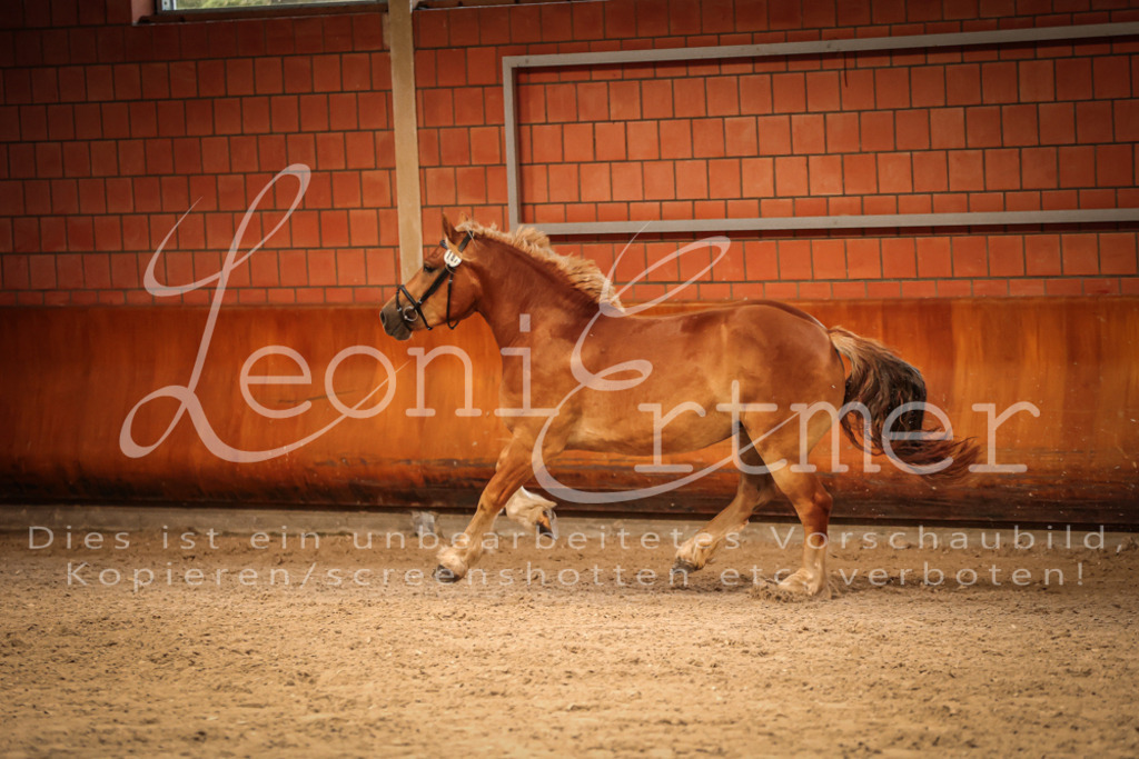 SaFL00170 | Leoni Ertmer Photography - Realisiert mit Pictrs.com