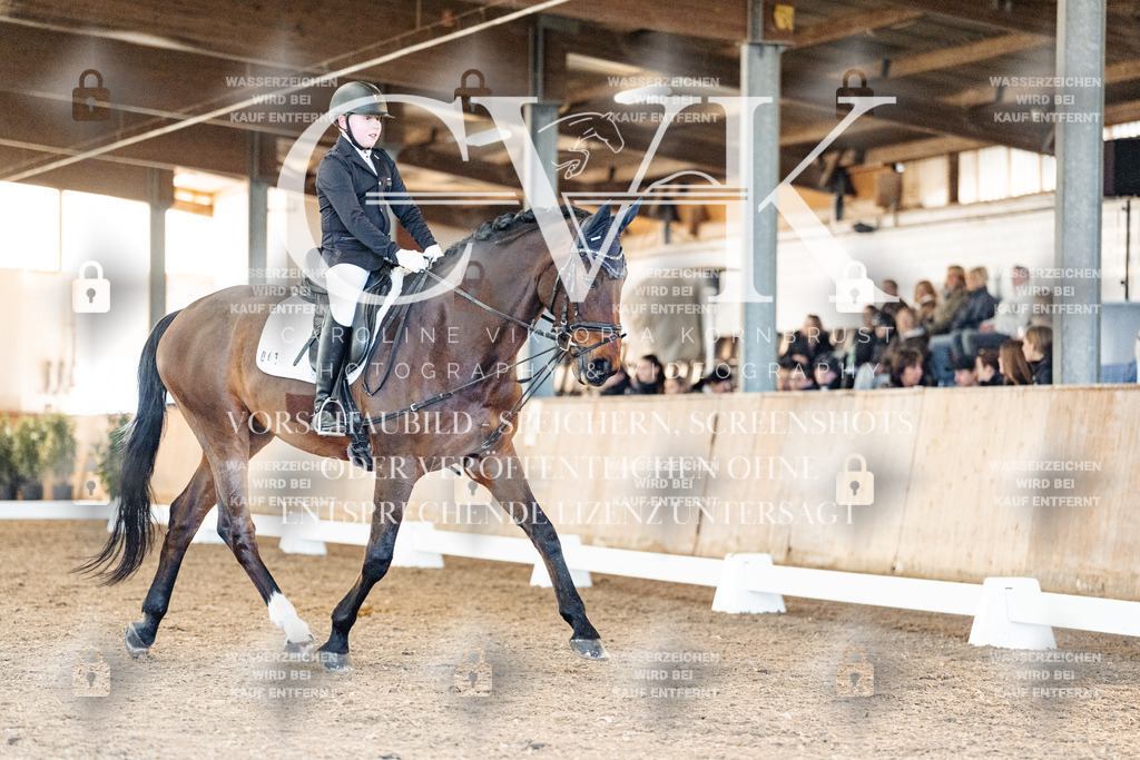 CK907253 | Turnierfotografie Pferdefotografie Trier Rheinland-Pfalz Pferdesport Reitsport Tierfotografie Sportfotografie Pferdevideo Pferdevideografie Equestrianvideography equestrianphotography  - Realized with Pictrs.com