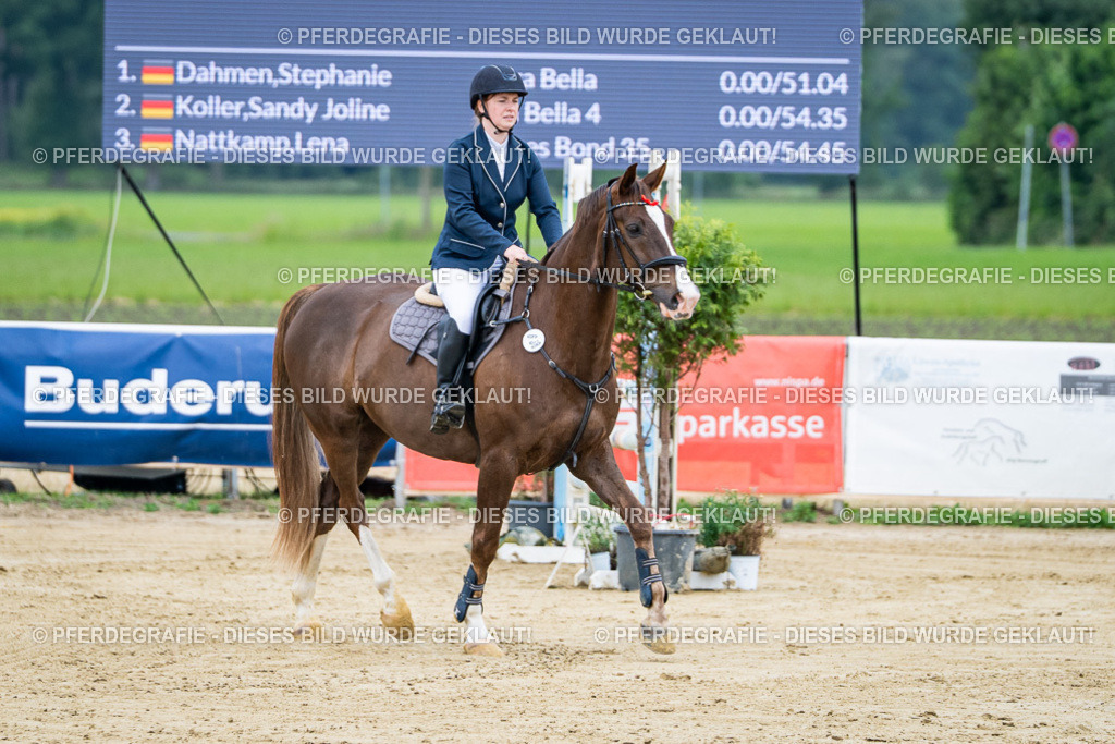 DSC03761 | Pferdegrafie