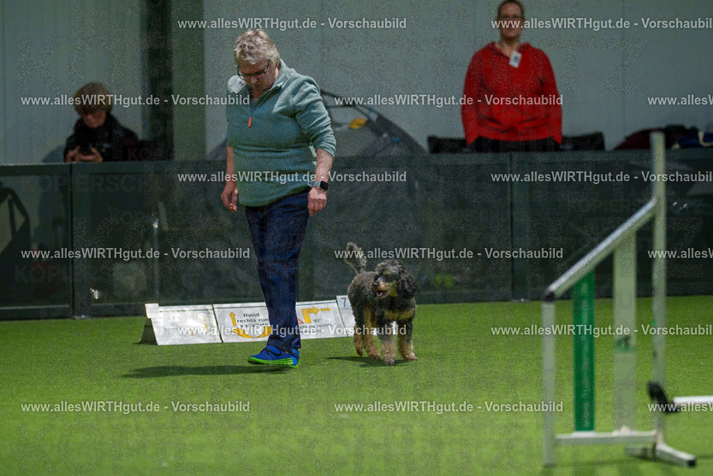 7R504027 | Professionelle Tierfotografie in Mönchengladbach von Daniel Wirth (allesWIRTHgut). Liebevolle & natürliche Bilder von Hunden & Katzen für unvergessliche Erinnerungen.