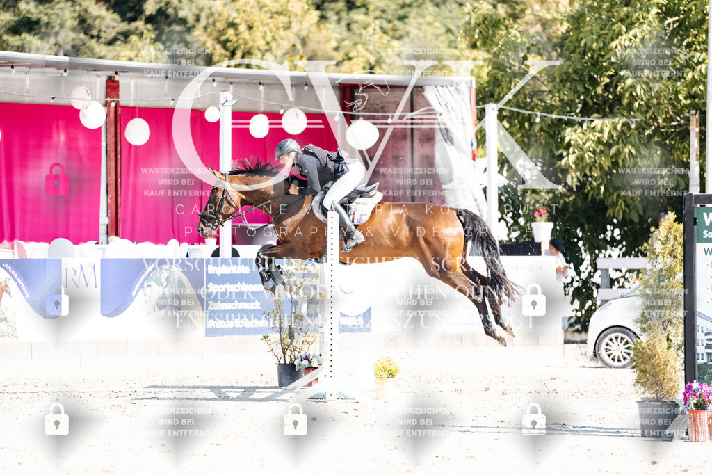 CK902660 | Turnierfotografie Pferdefotografie Trier Rheinland-Pfalz Pferdesport Reitsport Tierfotografie Sportfotografie Pferdevideo Pferdevideografie Equestrianvideography equestrianphotography  - Realisiert mit Pictrs.com