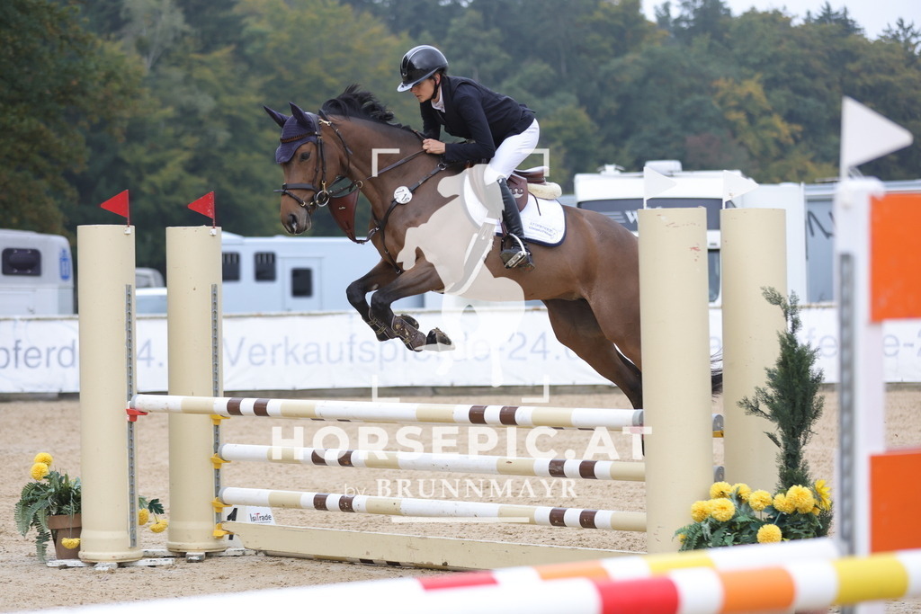 0P6A1791 | Willkommen bei Brunnmayr - Design & Fotografie – Ihrem Spezialisten für Reitturniere und Pferdeveranstaltungen in Oberösterreich, Salzburg und Bayern! Seit über 17 Jahren sind wir leidenschaftlich dabei.