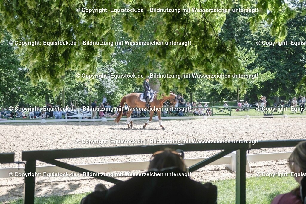 ZFC_4220 | equistock