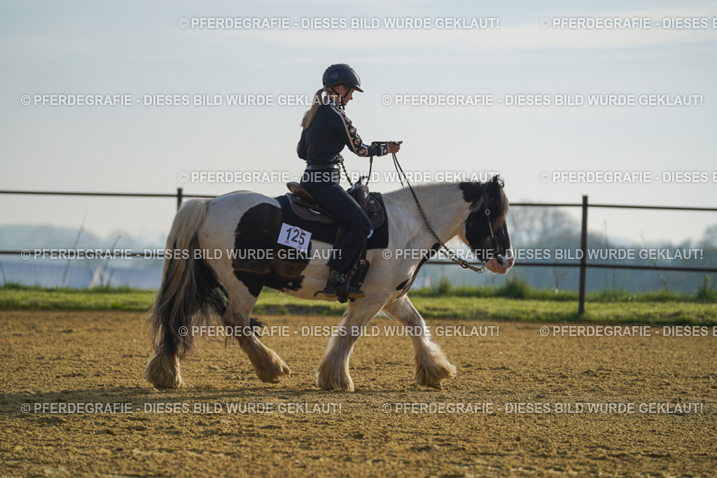 DSC00203 | Pferdegrafie