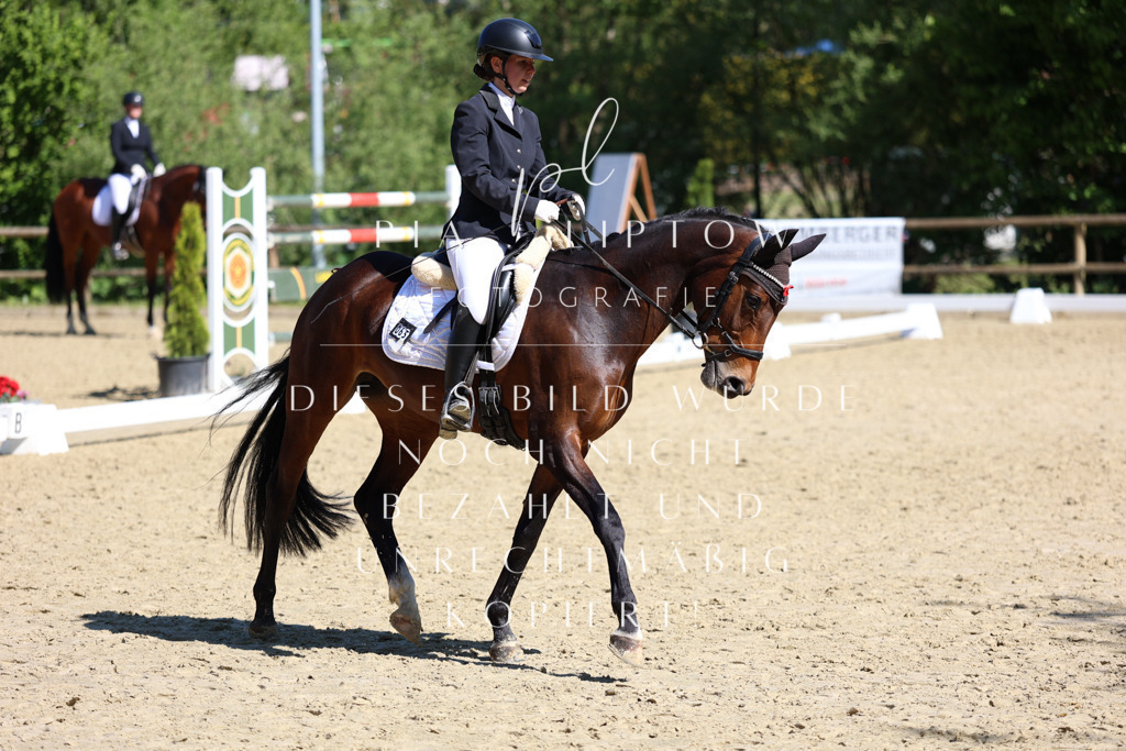 IMGT0559 | pl-fotografie