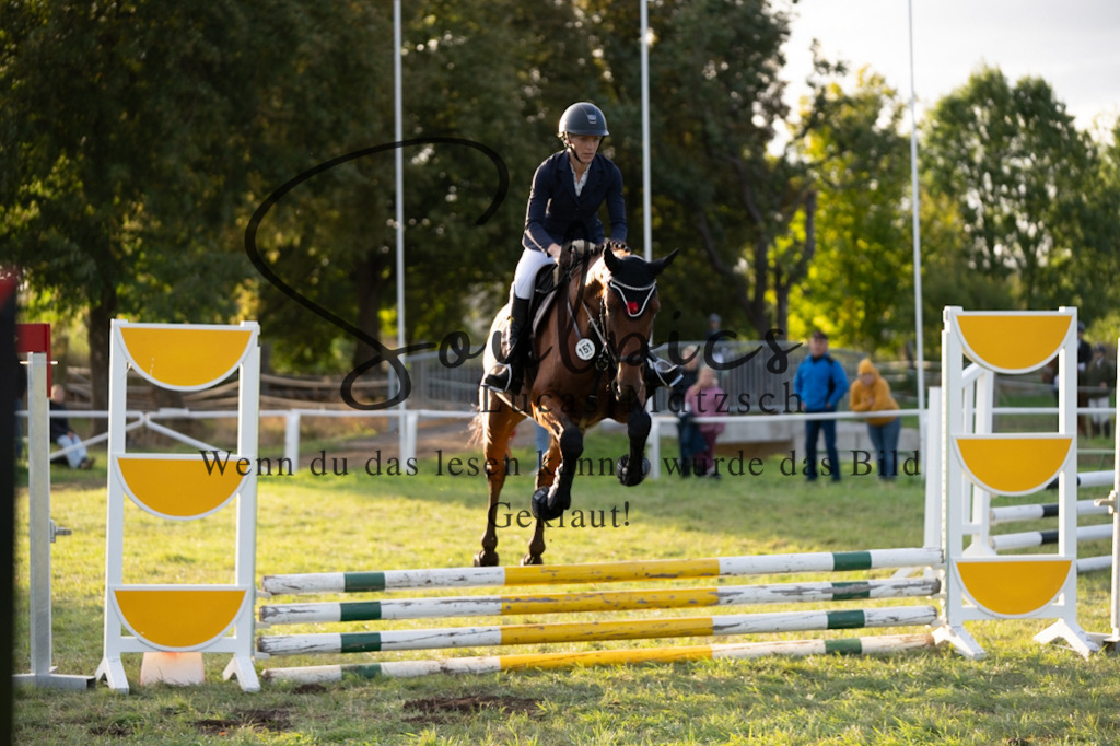 A7V06233 | Pferdefotograf