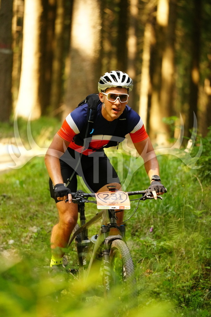 FC102952 | Fotogalerie der Treibjagd im Dunkelwald - Dein MTB Etappenrennen im Erzgebirge - Realisiert mit Pictrs.com