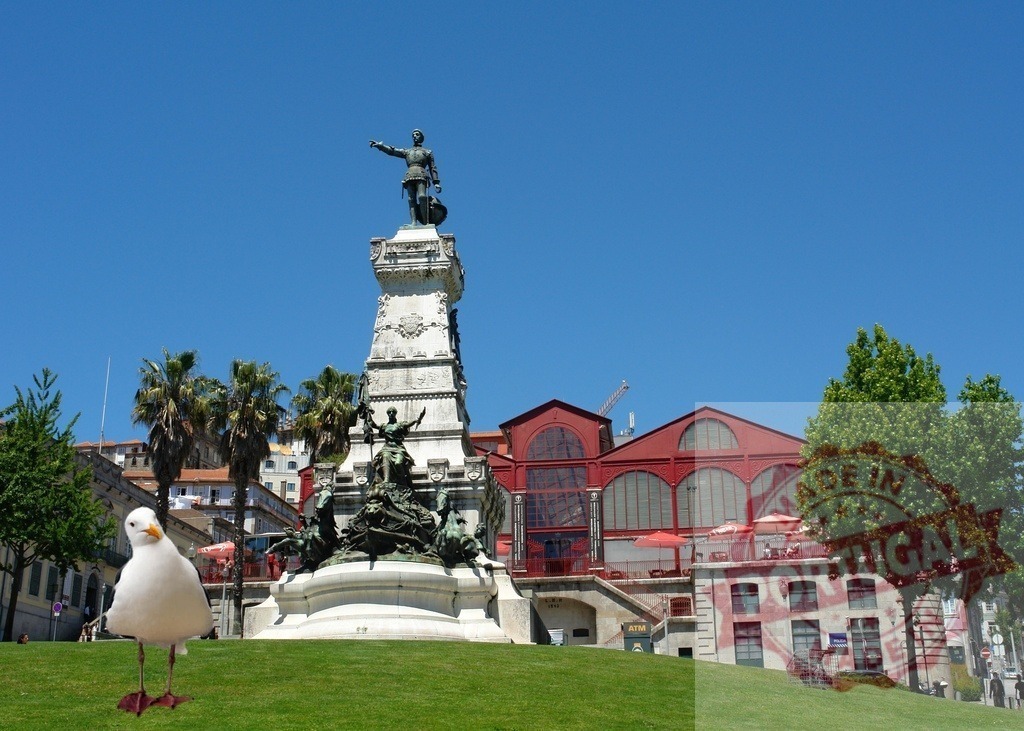 Seagull walking near Henry the Navigator Monument, Porto | Seagull standing on green grass, monument, and historic market building in Porto, Portugal - Realisiert mit Pictrs.com