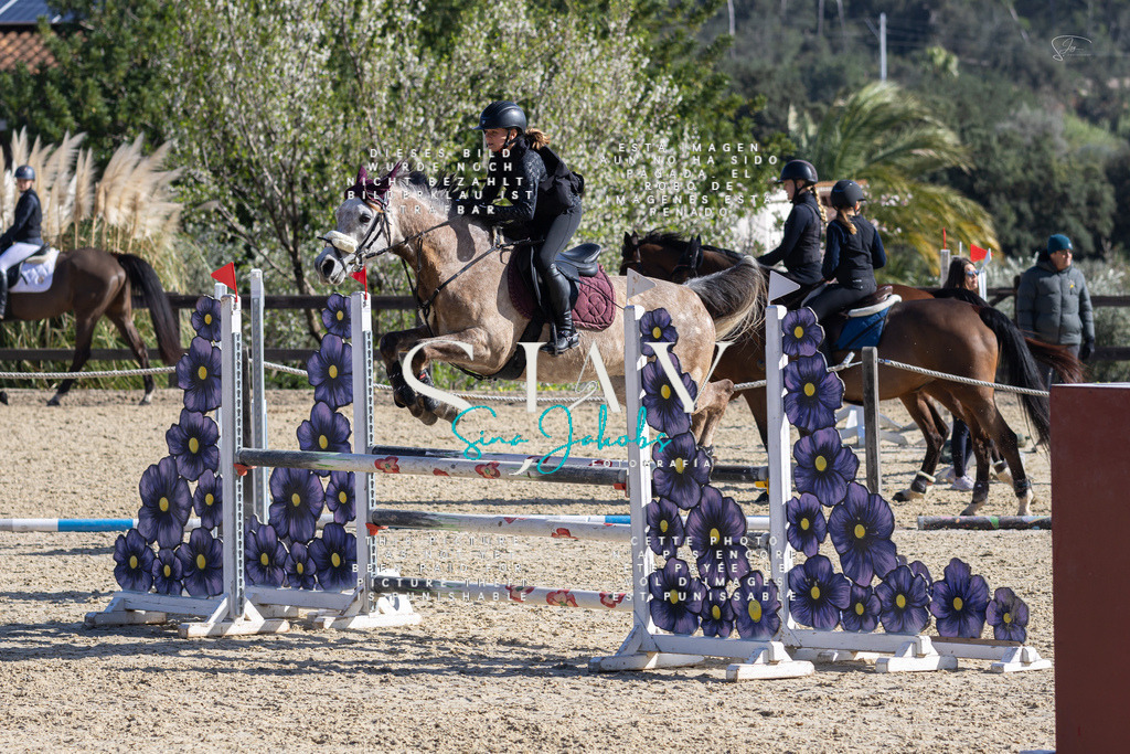 IMG_5385 | s-jay-photography - Realisiert mit Pictrs.com