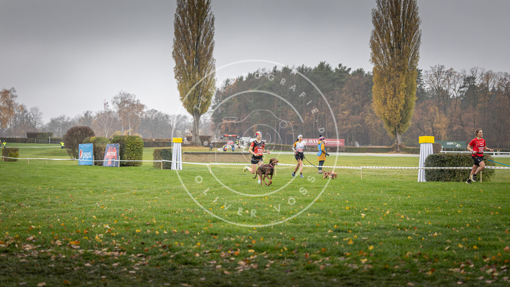 CaniXpix_DV3A8889 | Hundefotografie, Tierfotograf, Pfotenfotografie, Fotoshooting Hund, Hunde Portrait, Hundesport, Hundeportraits, Heideshooting, Hunde, Sportfotograf, Hundefotograf, Turnierhundsport, THS,  - Realisiert mit Pictrs.com