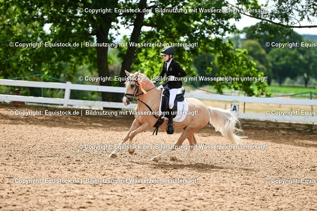 20230716_10-3_Reiter-WB Schritt - Trab - Galopp_0261 | equistock