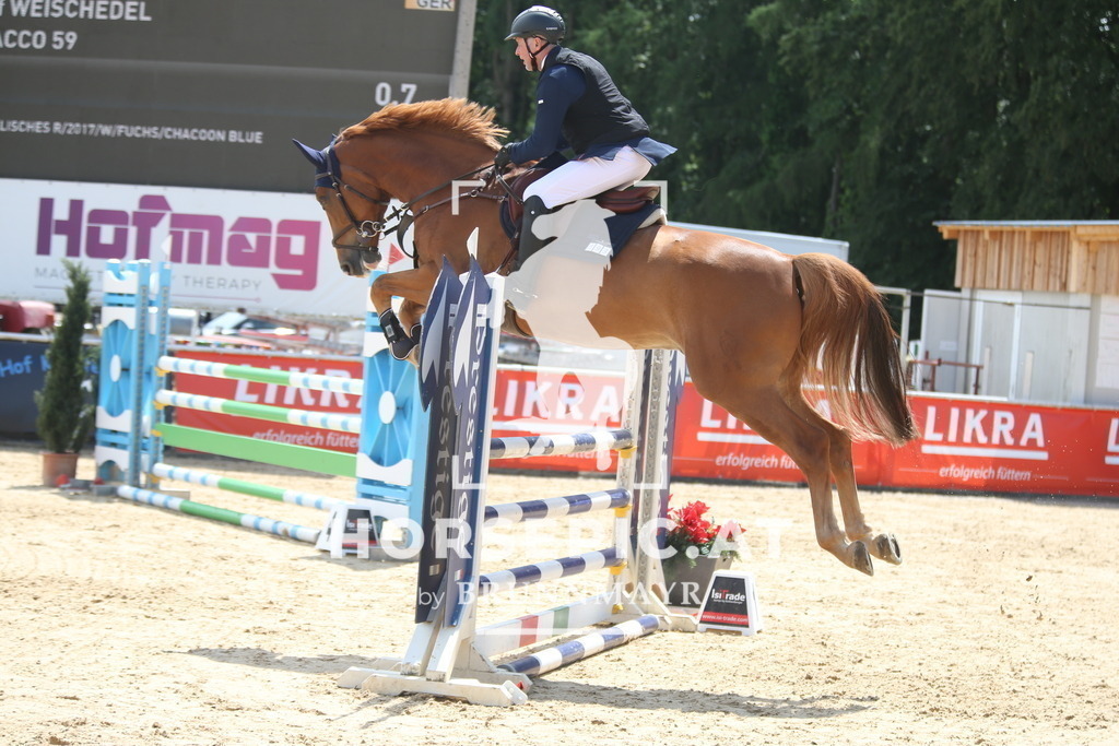 AS8V3599 | Willkommen bei Brunnmayr - Design & Fotografie – Ihrem Spezialisten für Reitturniere und Pferdeveranstaltungen in Oberösterreich, Salzburg und Bayern! Seit über 17 Jahren sind wir leidenschaftlich dabei.