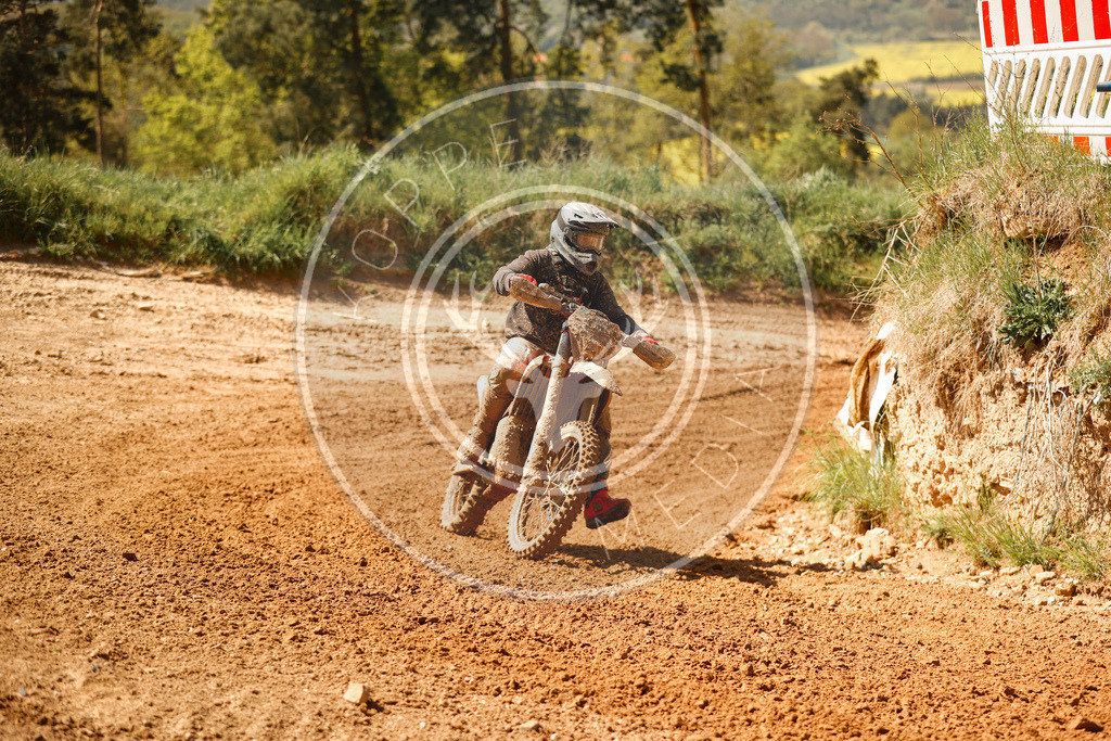 RottlebenIGE25_Lauf2-728 | koppe-media
