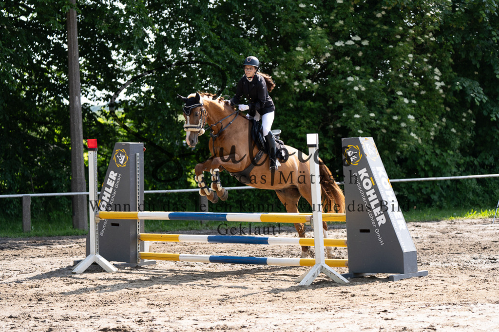 A7507330 | Turnier/Reitfotograf