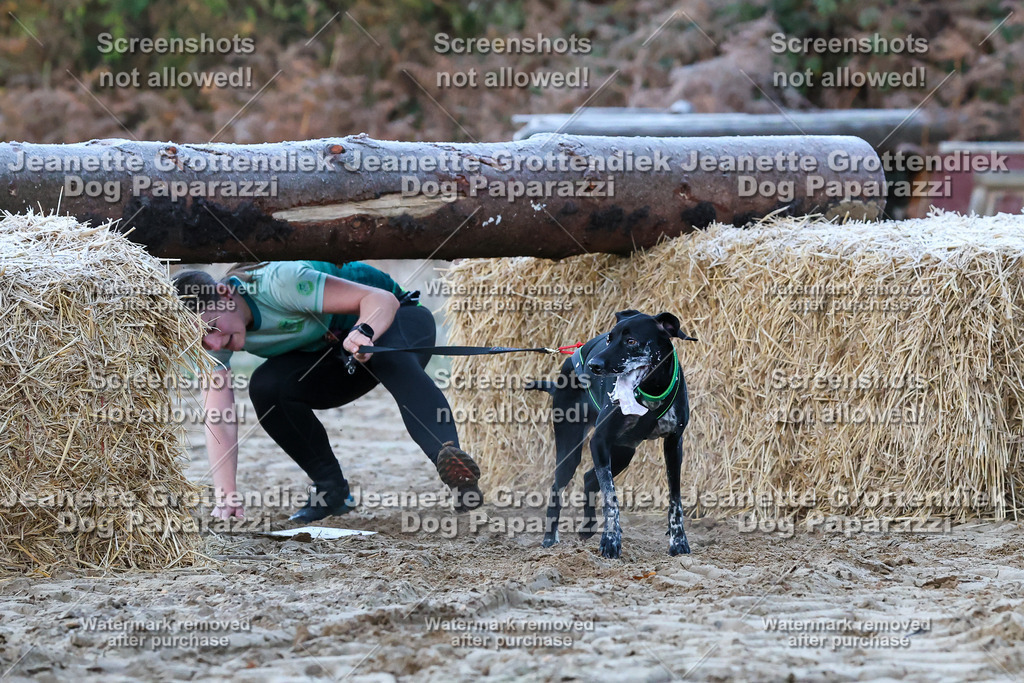 Dog Paparazzi - Strongdog 10-25-128 | Dog Paparazzi Jeanette Grottendiek Fotografie & Videografie - Realisiert mit Pictrs.com