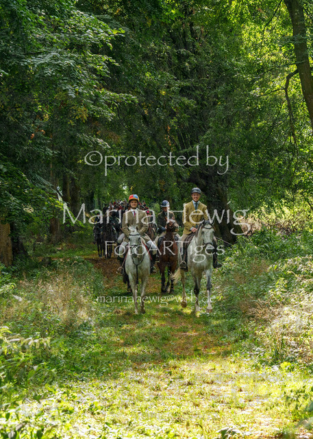 Jagd Perdoel_MarinaHewigMCH05003 | Fotografie, FotoArt, PferdesportArt, Pferdesportfotografie, Landschaftsfotografie, Reisefotografie, Reise, Pferde - Realisiert mit Pictrs.com