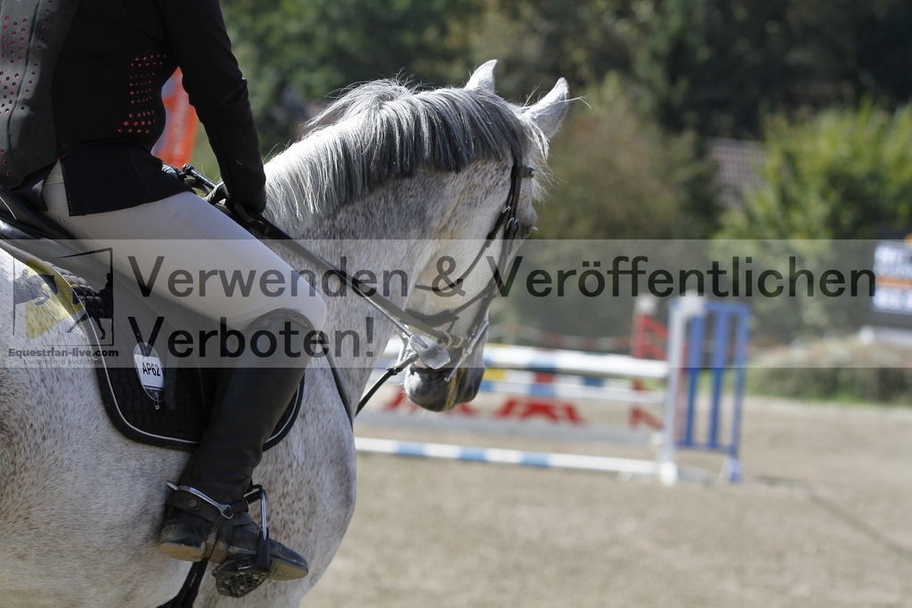 _MG_6300 | equestrian-live-com