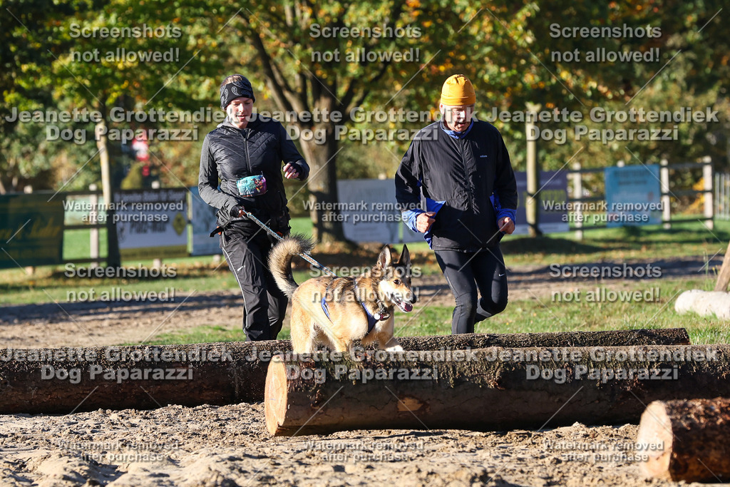 Dog Paparazzi - Strongdog 10-25-1327 | Dog Paparazzi Jeanette Grottendiek Fotografie & Videografie - Realisiert mit Pictrs.com
