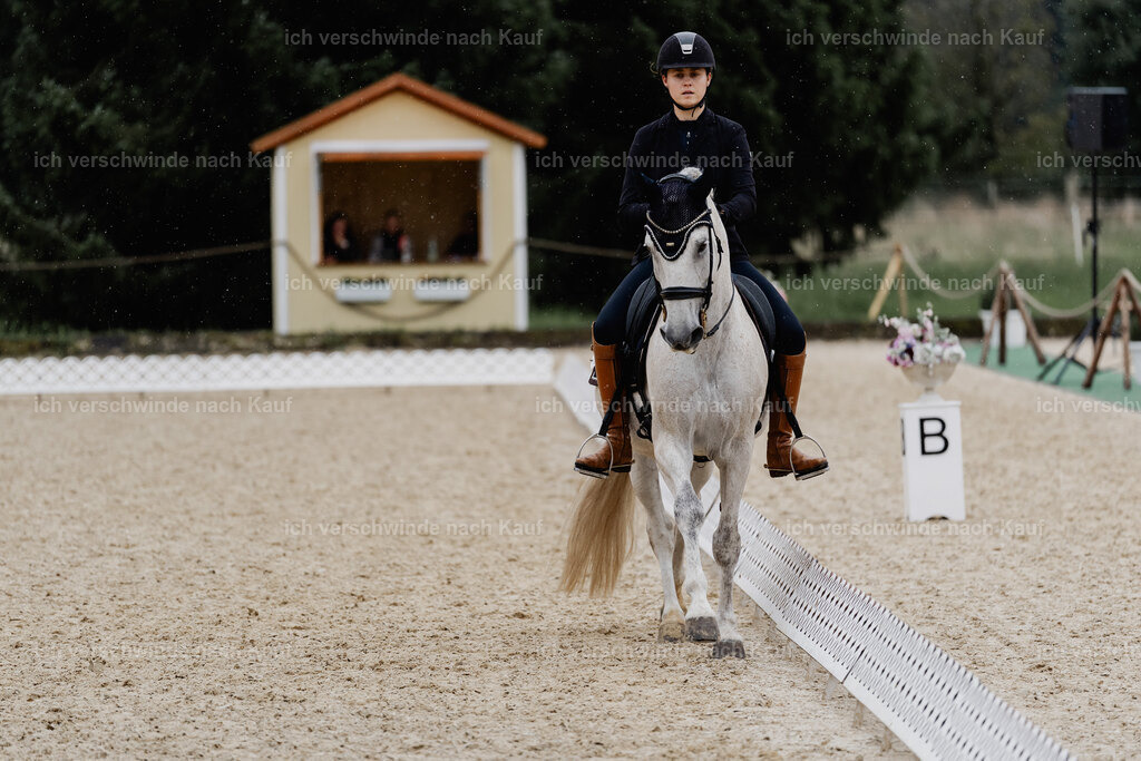 Svea13FHC2025-8413 | working equitationturnier fotograf videograf stoibphotography marixx film working equitation deutschland reitsport turnierfotografie eventfotografie equestrian events