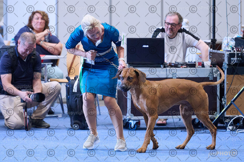 202406_ÖKV-IHA-Tulln24_DSC_4073 | proPHOTO - Realisiert mit Pictrs.com